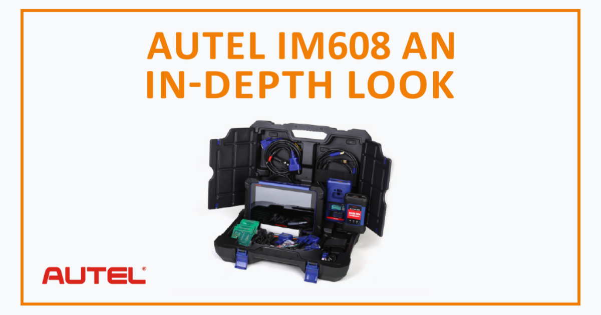 3D Group | IM608 AN IN-DEPTH LOOK